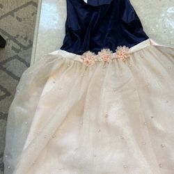 Rose Gold Blue Velvet Kids Dress