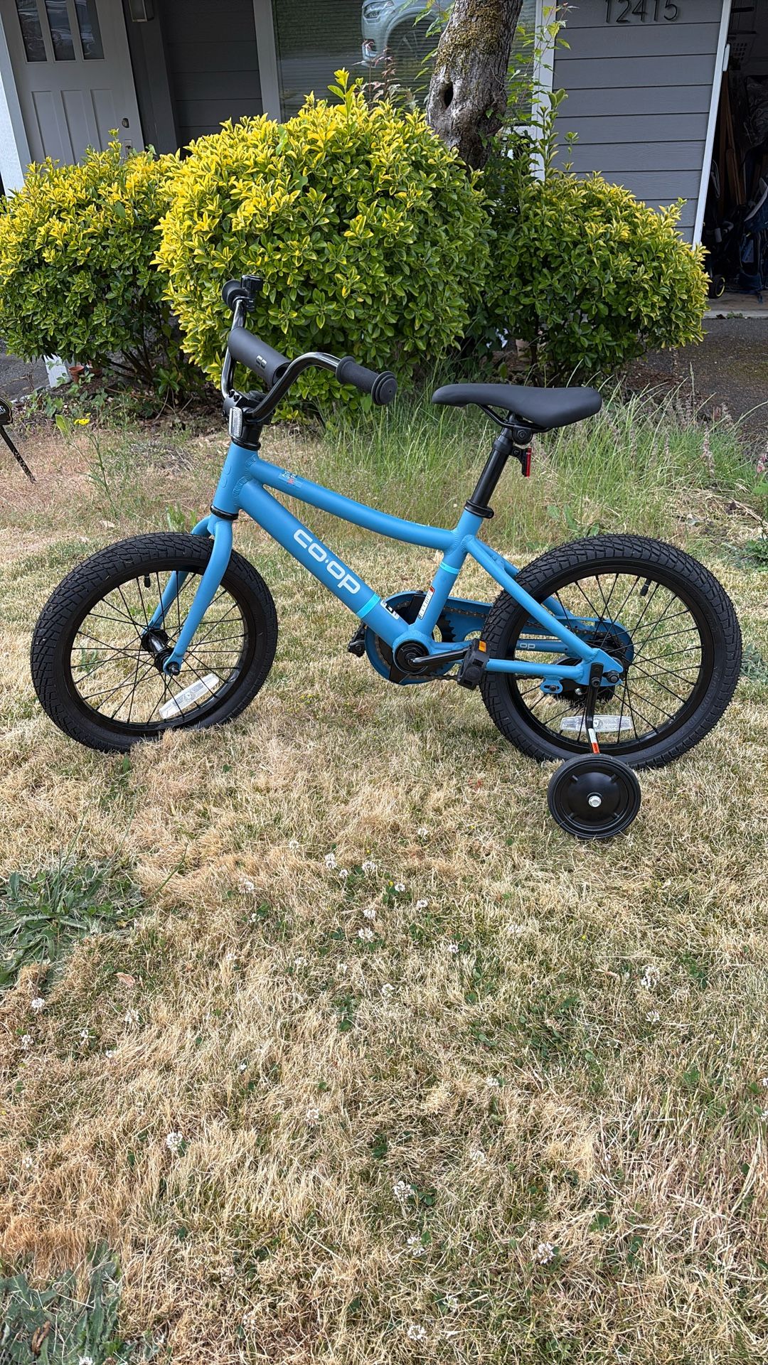16” REI Kids Bike