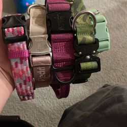 Dog Collar