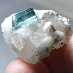 19 Carats Indicolite Tourmaline Crystal Specimen Minerals from Afghanistan 
