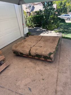 90/10 Fescue-Bluegrass Sod
