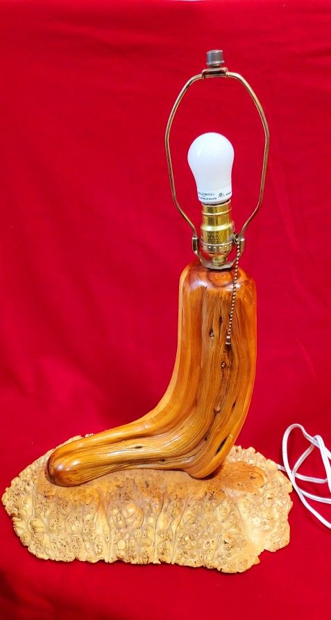 Vintage Unique Burl Wood Table Lamp Rare Collectible