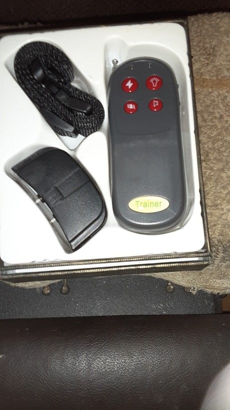 Electronic Dog Control