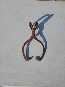 Ice tongs