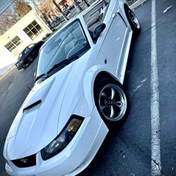 2001 Ford Mustang