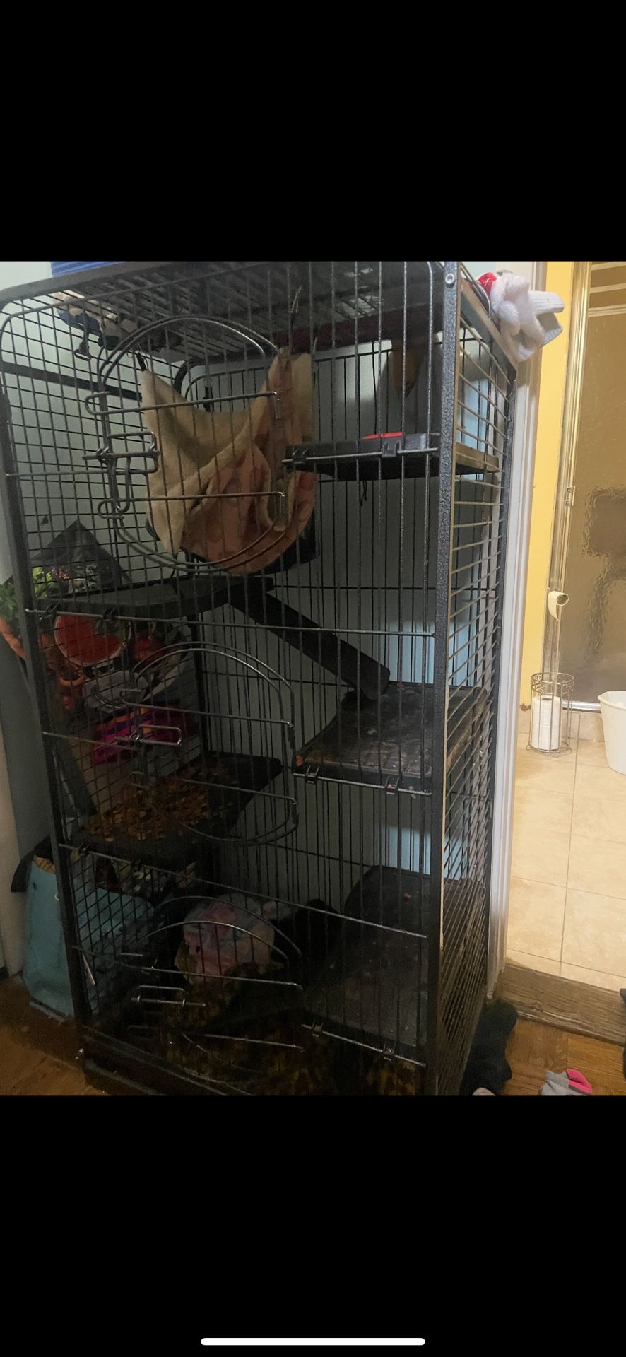 Ferret Cage 