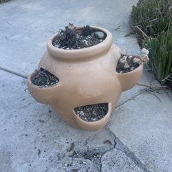 Plant Clay Pot 