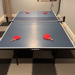 Joola Ping Pong Table 