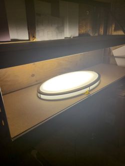 Led oval ceiling lights new (25 available)