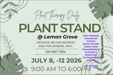 Plant for sale