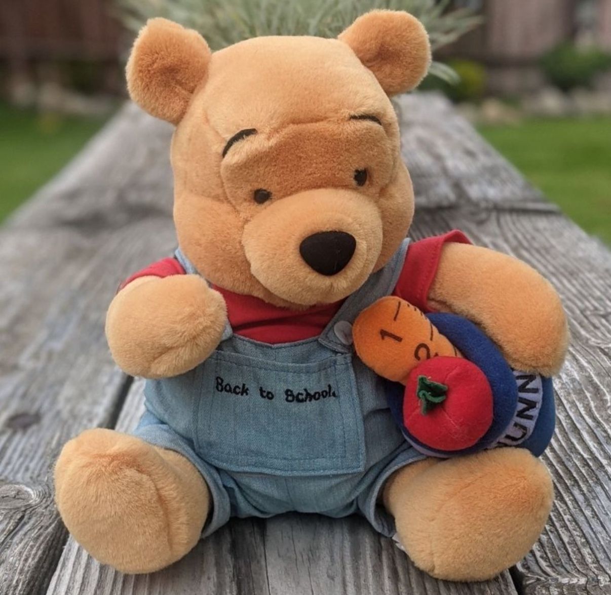 The Walt Disney Company Winnie The Pooh Back To School Plush $38.00