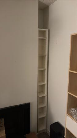 Tall Skinny Shelves (2) FREE
