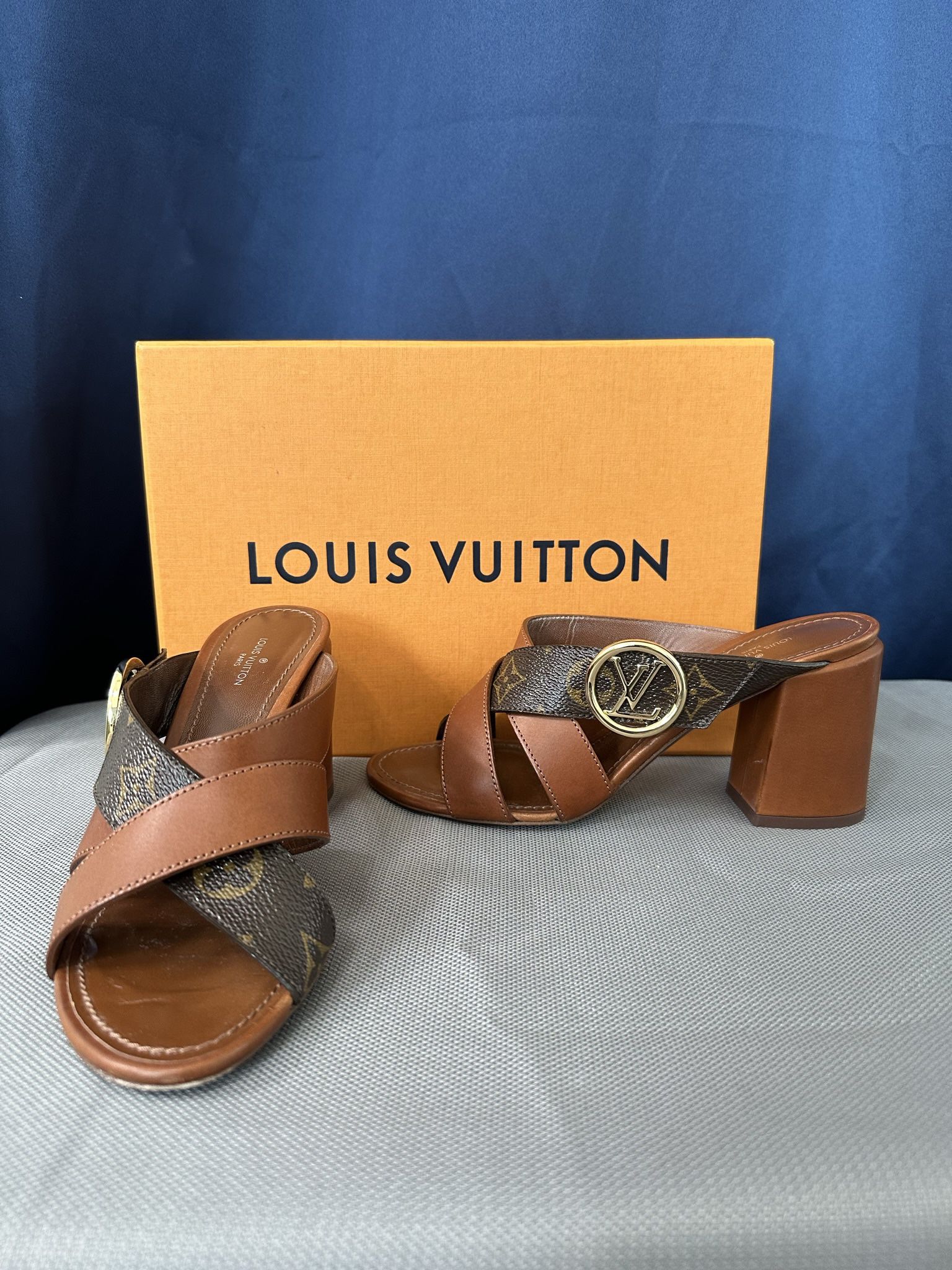 Louis Vuitton Leather Mule Sandal 37