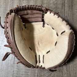 Absolutely Ridiculous Baseball Catchers Bible Glove