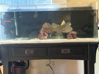 55 gal tank acrylic