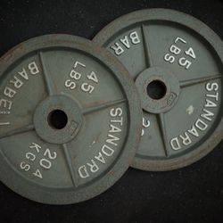 2x 45lb Plate
