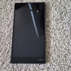 Vizio