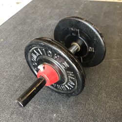 Weights - Two 10lb Weights With Curl Bar