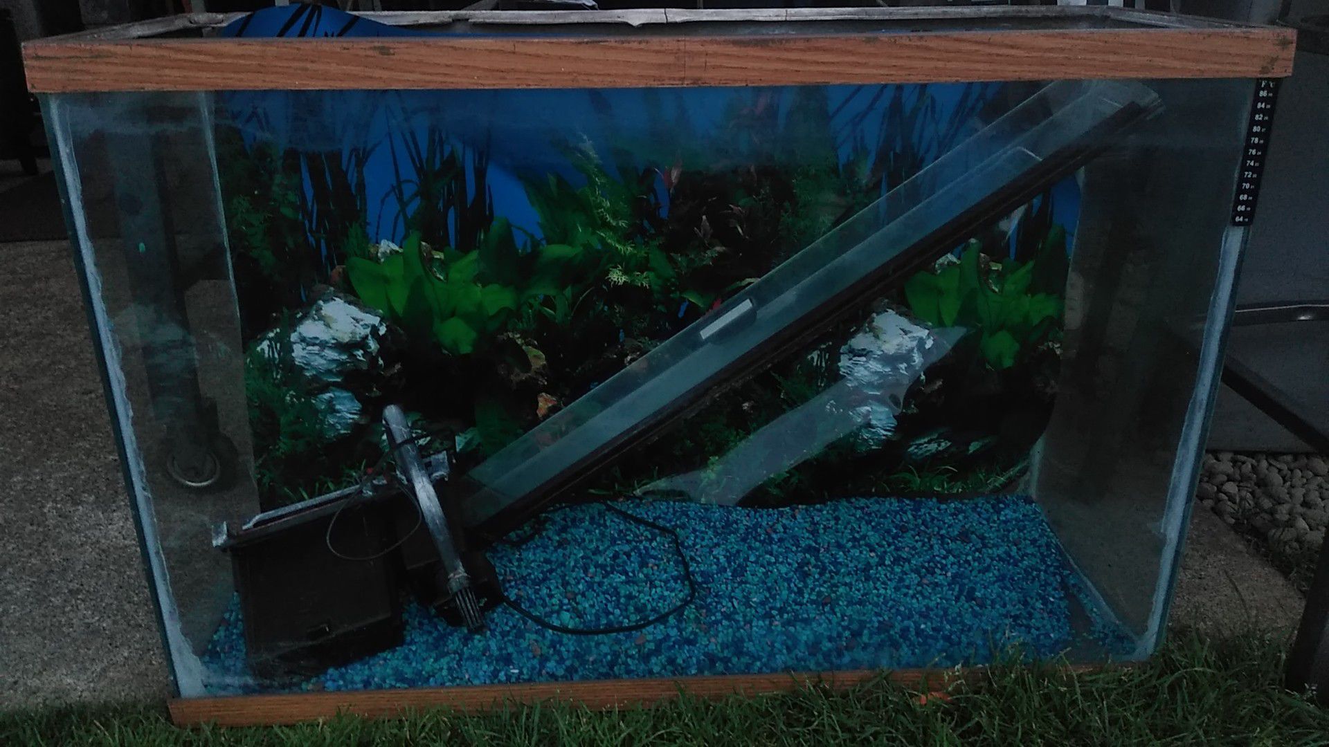 Fish tank 45 gallons