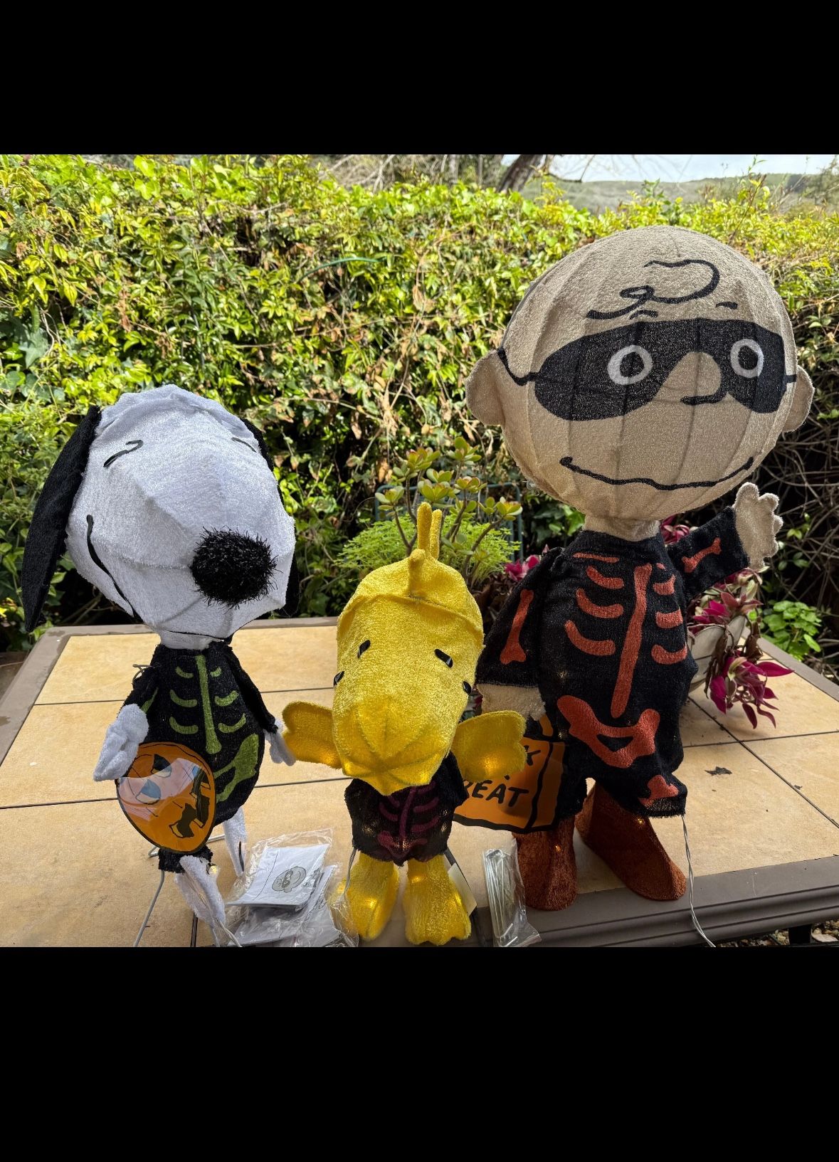 The Peanuts Trick Or Treating Trio