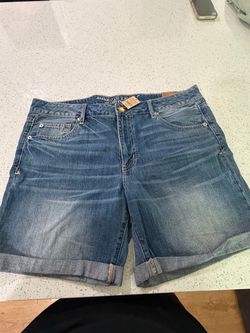 American Eagle Outfitters Denim Jean Shorts