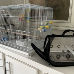 Everything Needed For Small To Medium Bird 