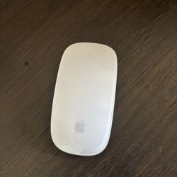 Apple Mouse 
