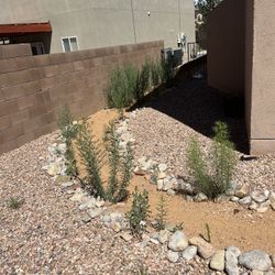 Yard Cleaning Service 