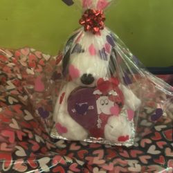 Snoopy Valentines Day Gift 