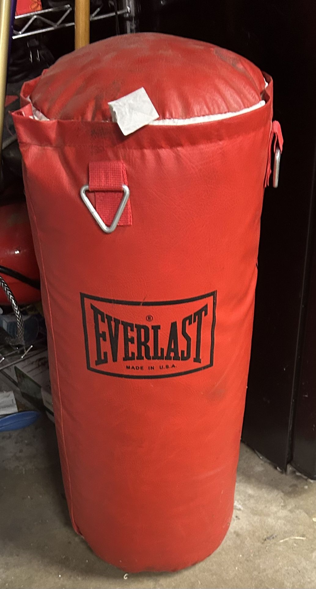 Everlast Punching Bag