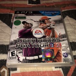 PS3 Game EA Sports 🏌🏾‍♂️ Tiger 🐯 Woods PGA Tour 13 