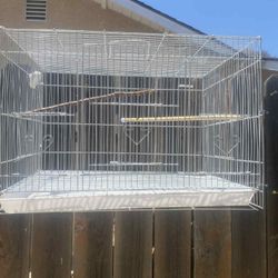Birdcage, /Birds