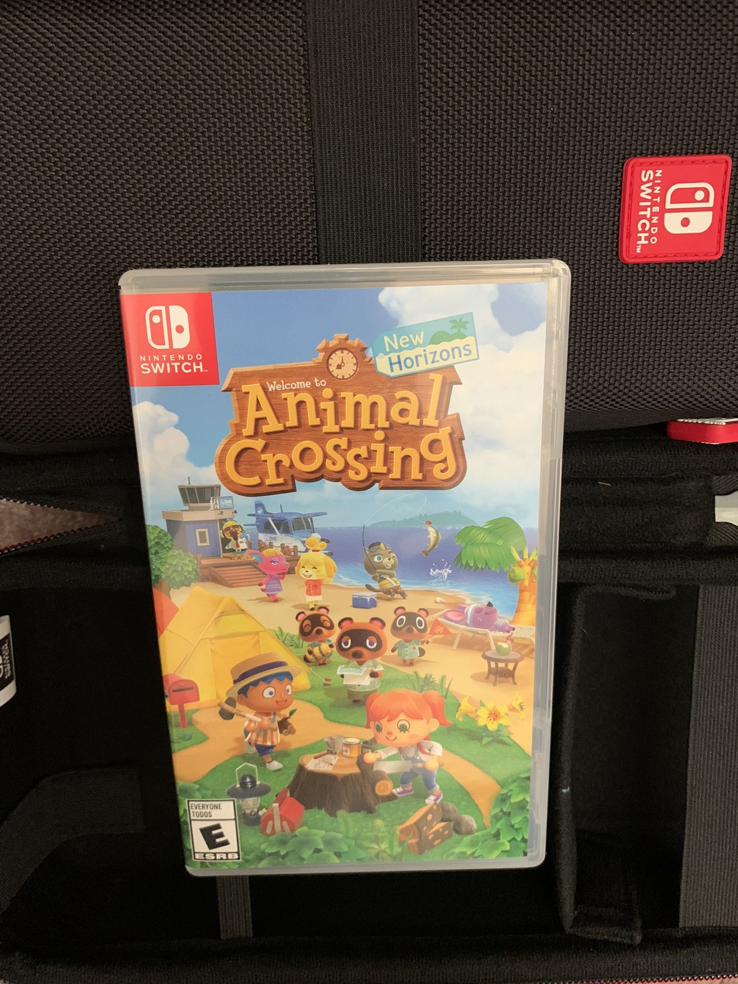 Animal Crossing Nintendo Switch