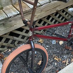 2018 STLN Sinner Freecoaster BMX Bike for Sale in Bayville NJ OfferUp