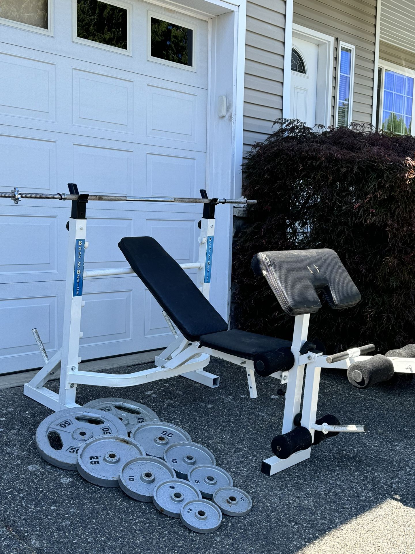 bench press. weights and bar 50x2.25x2.10x2.5x2.2.5x2