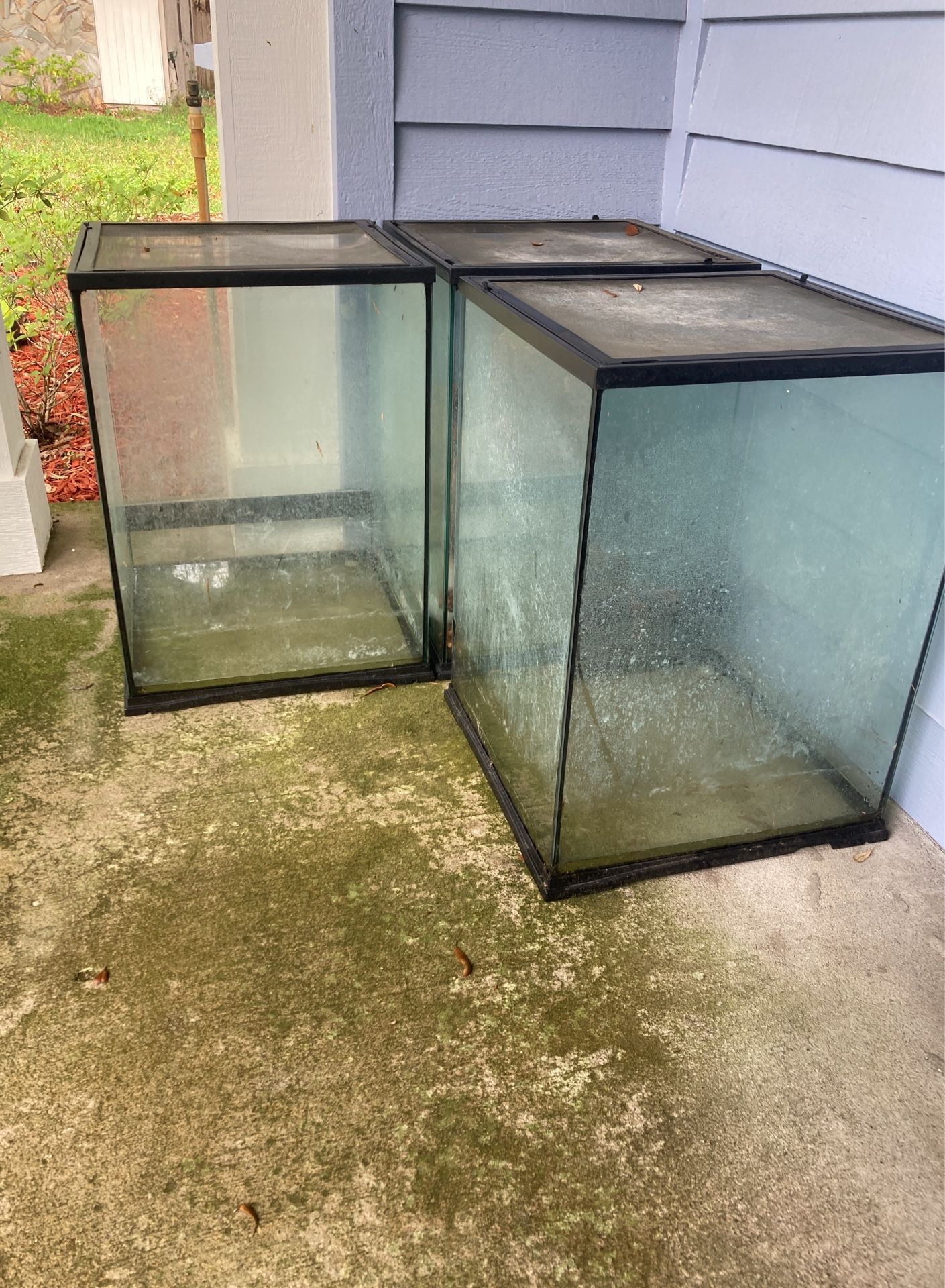 3. 24x18x18 Zoomed Tall Vivariums