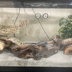 Terrarium