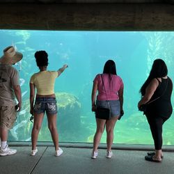 Water heater for sale $300 it’s a $600water heater