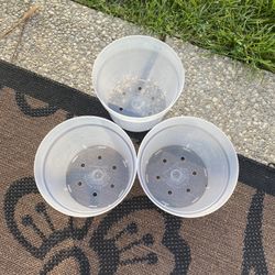 Clear Small Plastic Pots ( H 5 Inch   W 6   1/2 ( BEST OFFER!) 