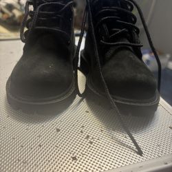 Baby Tim’s