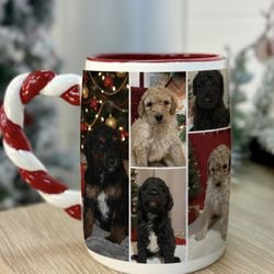 Poodle Cup 