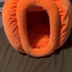 Pumpkin cat bed 