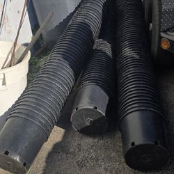 Plant Pots 1.00 EACH