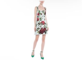 Dolce & Gabbana Floral Rose Dress 🌹