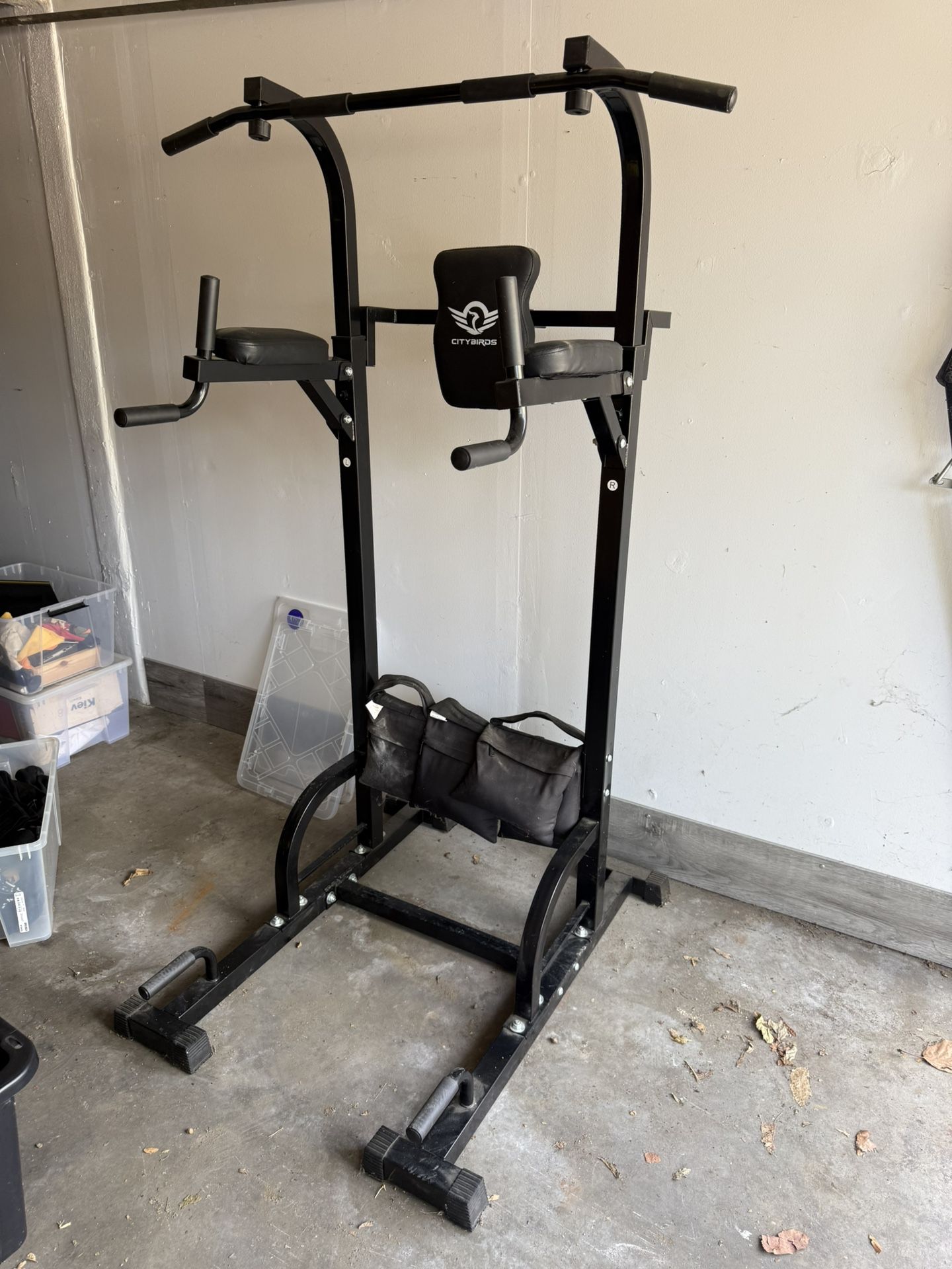 Citybirds Power Tower Pull Up Bar Sports & Outdoors