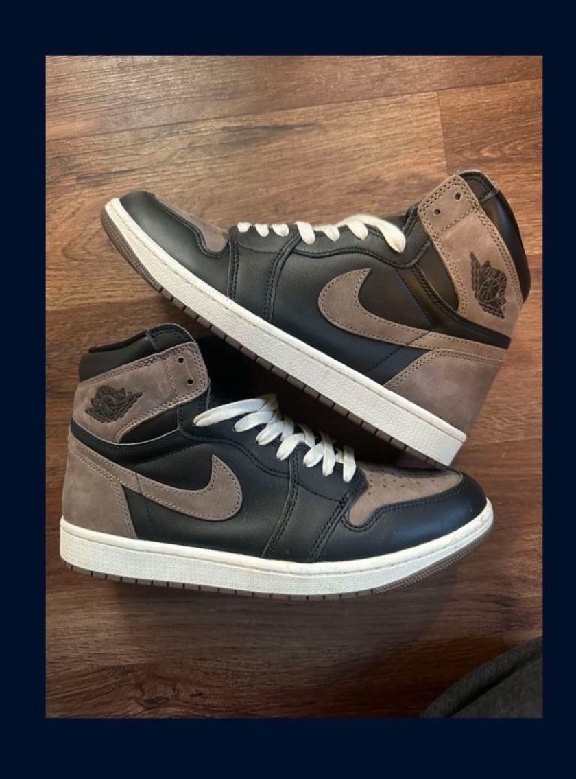 Jordan 1 Palominos 10.5