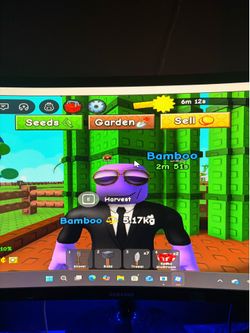 Monitor