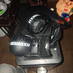 Mma Gloves 