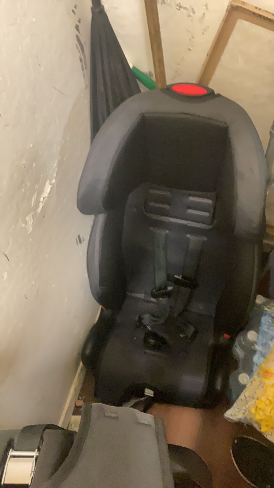 3 And One Car Seat