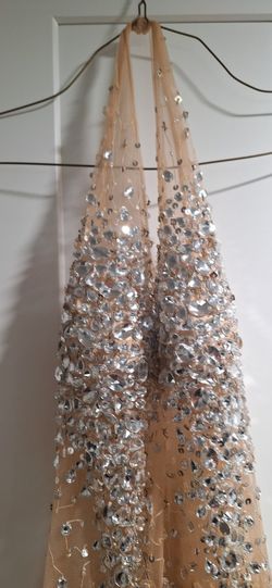 Sequenced  Silver & BPartial Sheer Dress